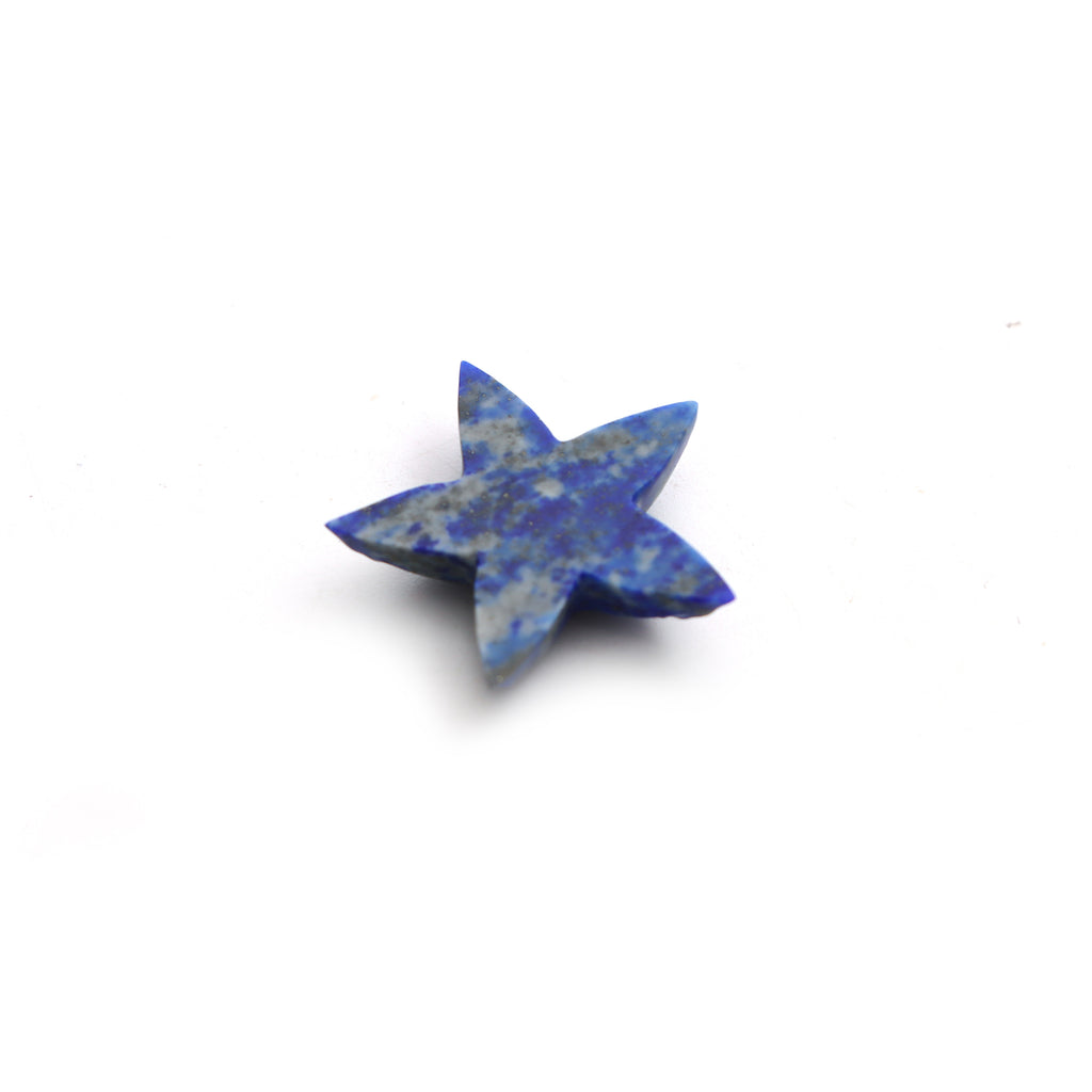 Lapis Star Fish Carving Loose Gemstone